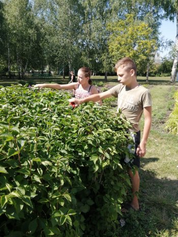 Пятая трудовая четверть продолжается